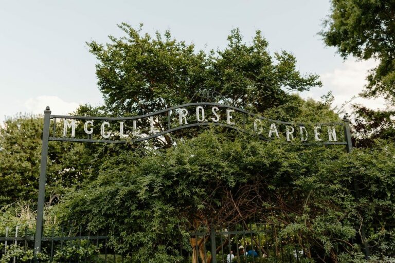 Charlotte's McGill Rose Garden entrance sign shot by Aly Barnett Photography.