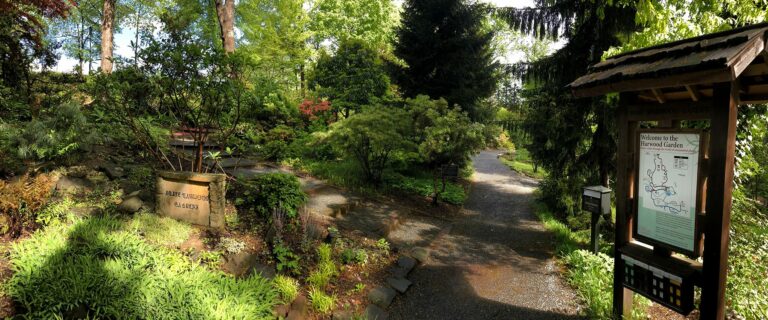 Harwood Garden at UNC Charlotte's Botanical Gardens.